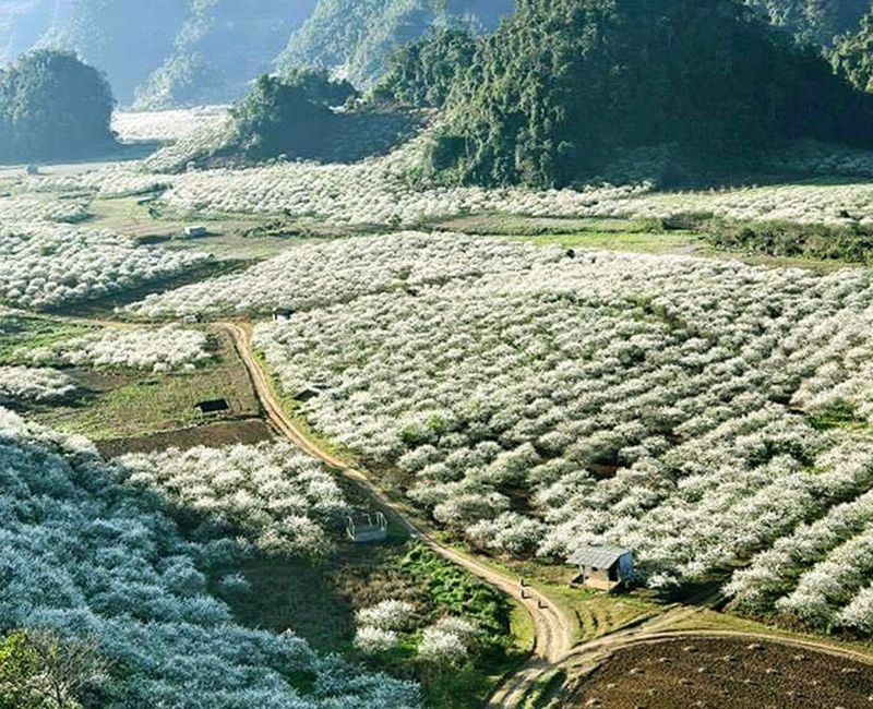 Mạng bán tour du lịch trực tuyến hàng đầu tại Việt Nam | BenThanh Tourist