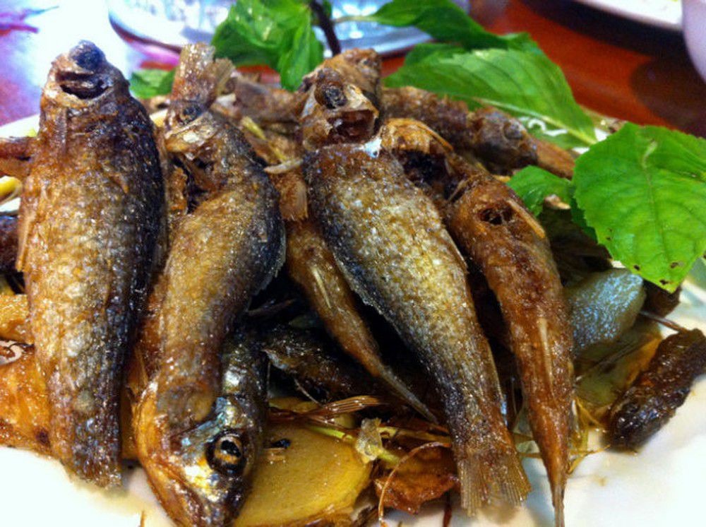 Mạng bán tour du lịch trực tuyến hàng đầu tại Việt Nam | BenThanh Tourist