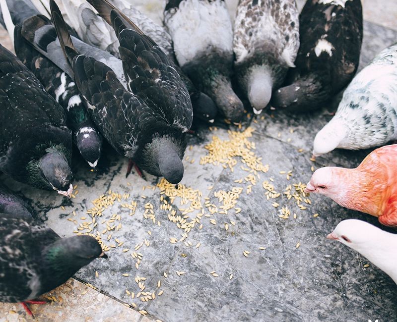 Mạng bán tour du lịch trực tuyến hàng đầu tại Việt Nam | BenThanh Tourist