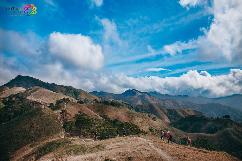 Mạng bán tour du lịch trực tuyến hàng đầu tại Việt Nam | BenThanh Tourist Mạng bán tour du lịch trực tuyến hàng đầu tại Việt Nam | BenThanh Tourist