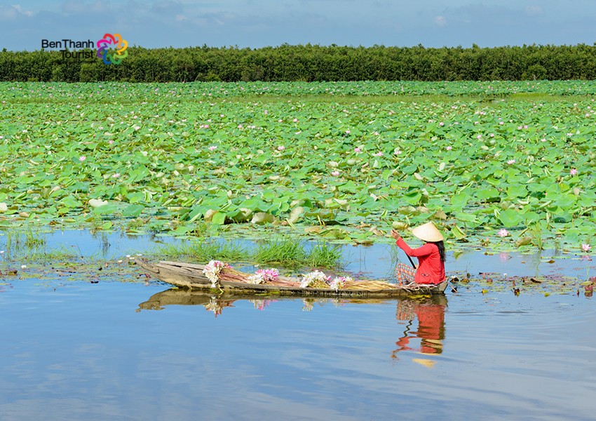 Mạng bán tour du lịch trực tuyến hàng đầu tại Việt Nam | BenThanh Tourist