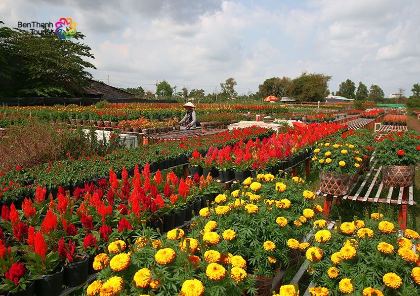 Mạng bán tour du lịch trực tuyến hàng đầu tại Việt Nam | BenThanh Tourist