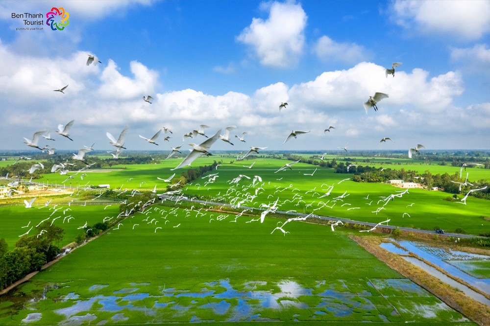 Mạng bán tour du lịch trực tuyến hàng đầu tại Việt Nam | BenThanh Tourist