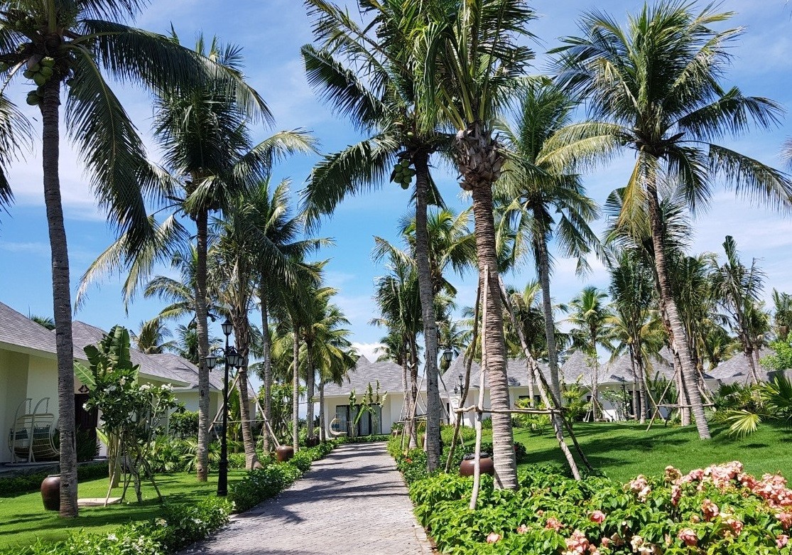 Mạng bán tour du lịch trực tuyến hàng đầu tại Việt Nam | BenThanh Tourist