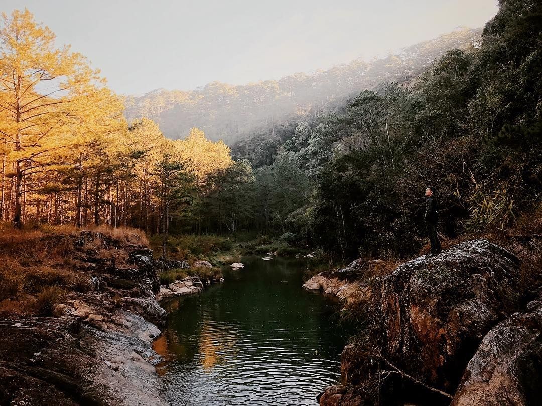 ho-ankroet ho-ankroet