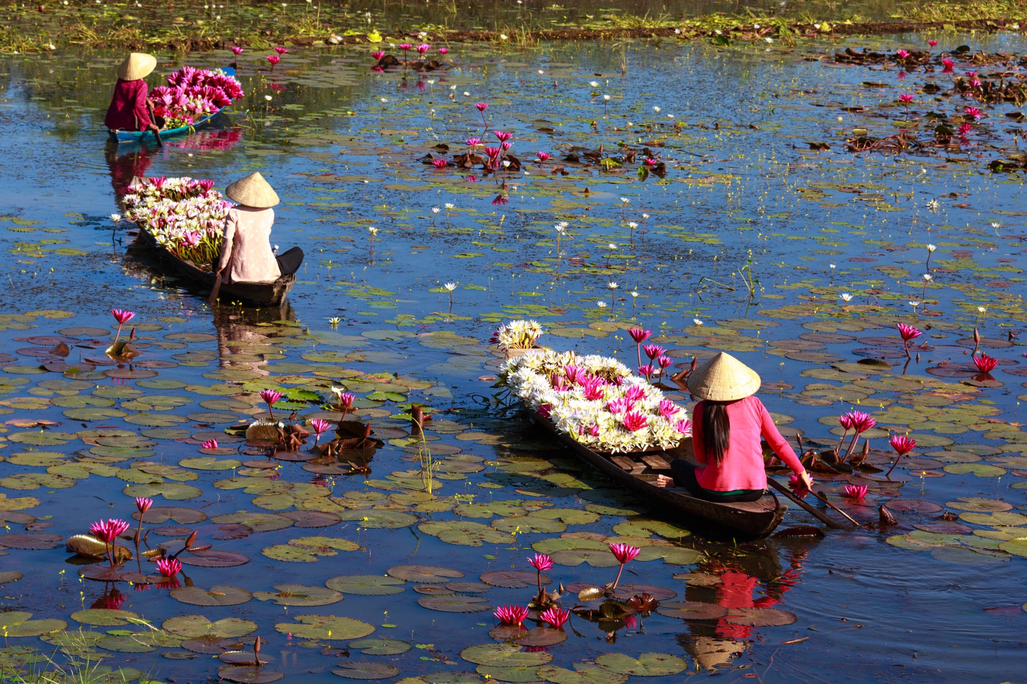 du-lich-dong-thap-1 du-lich-dong-thap-1