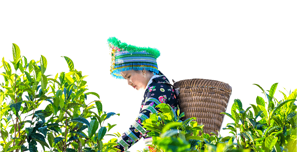 nguoi-dan-hai-che-suoi-giang