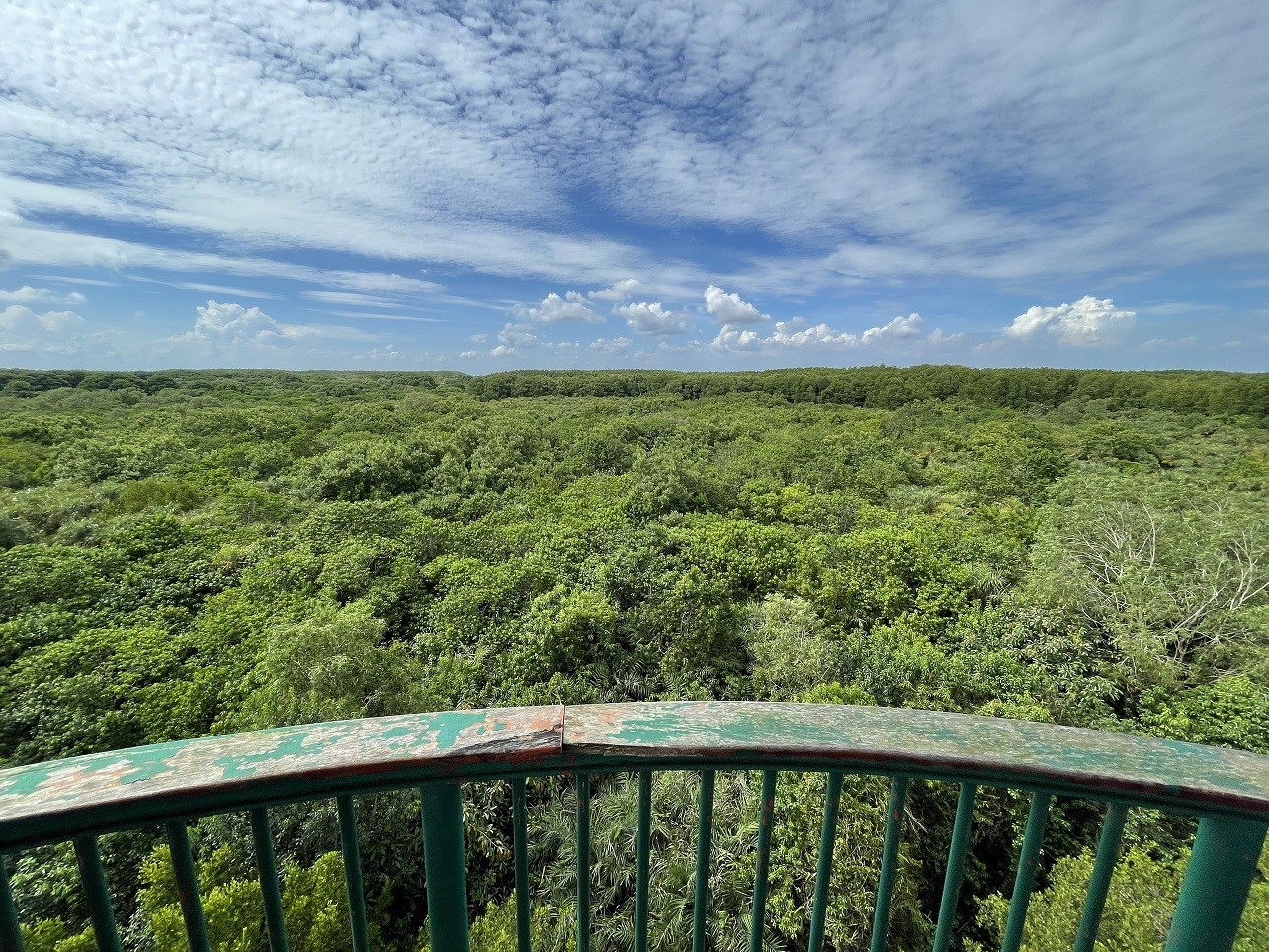 Mạng bán tour du lịch trực tuyến hàng đầu tại Việt Nam | BenThanh Tourist