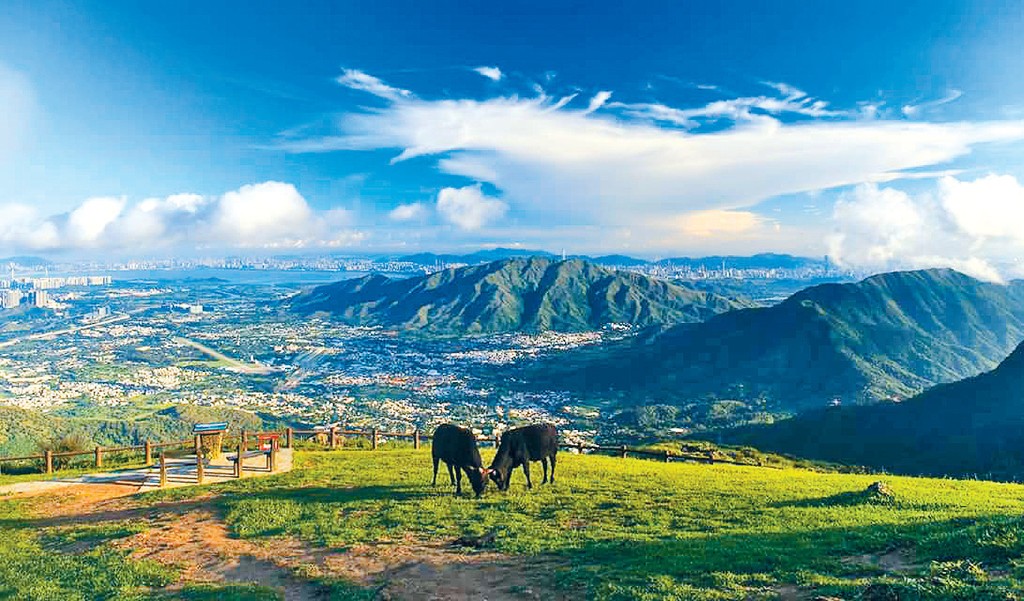 công viên Đại Mạo Sơn