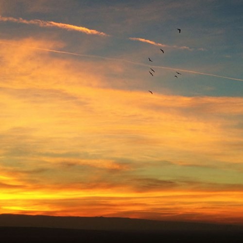 Mạng bán tour du lịch trực tuyến hàng đầu tại Việt Nam | BenThanh Tourist Mạng bán tour du lịch trực tuyến hàng đầu tại Việt Nam | BenThanh Tourist