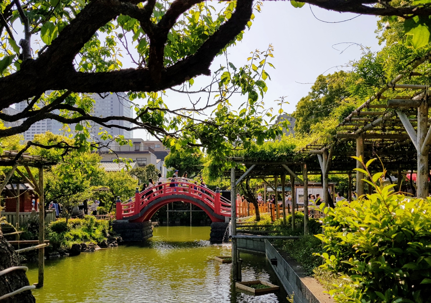 kameido-tenjin