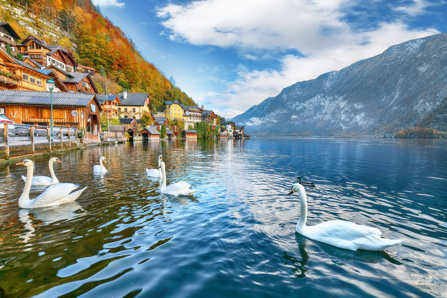 ho-hallstatt-1