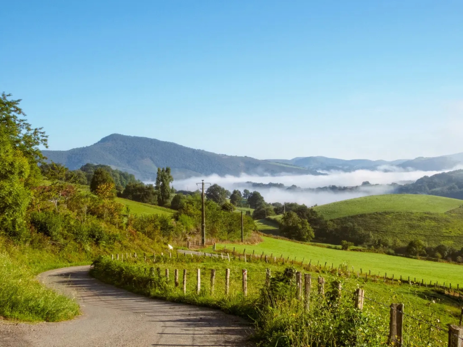 camino-frances