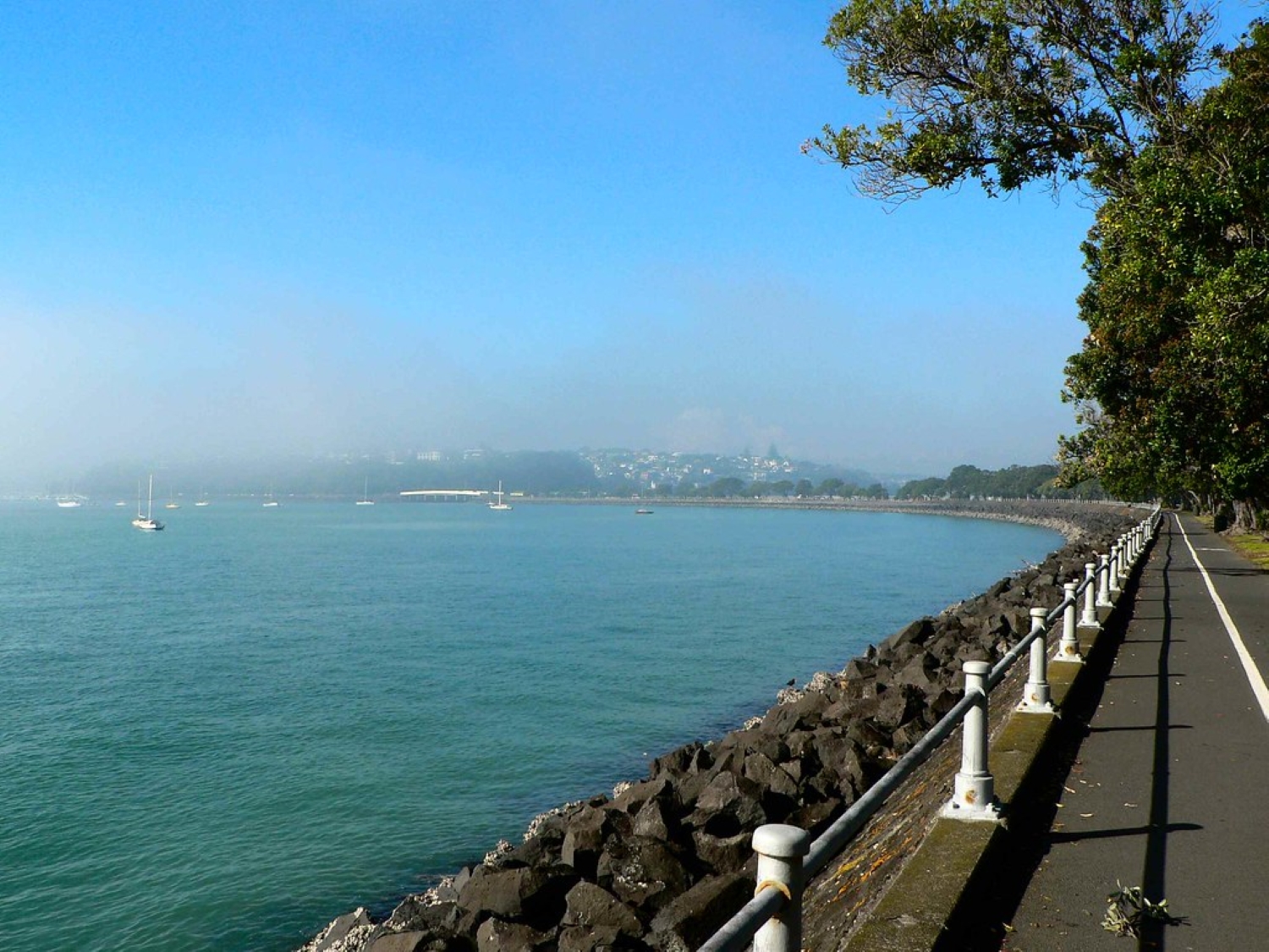 tamaki-drive tamaki-drive