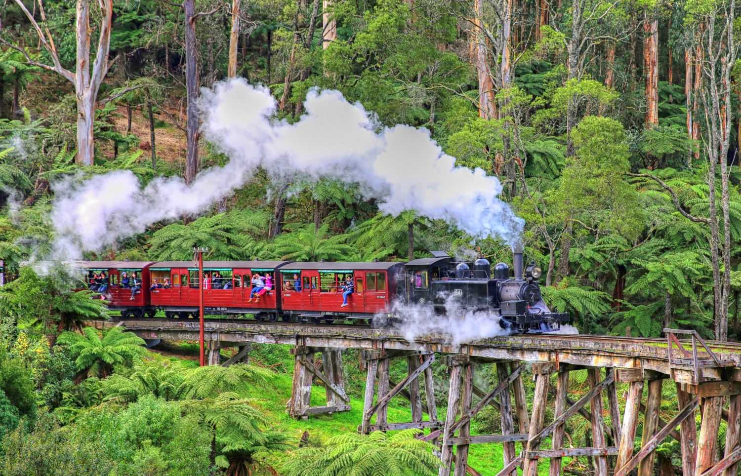 puffing-billy