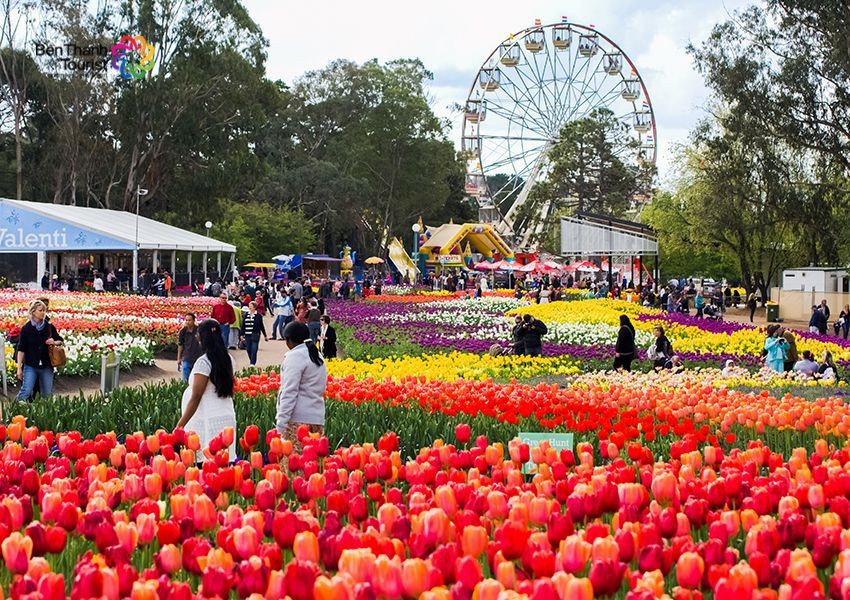 Du Lịch Úc: Sydney - Melbourne - Canberra - Lễ Hội Hoa Floriade