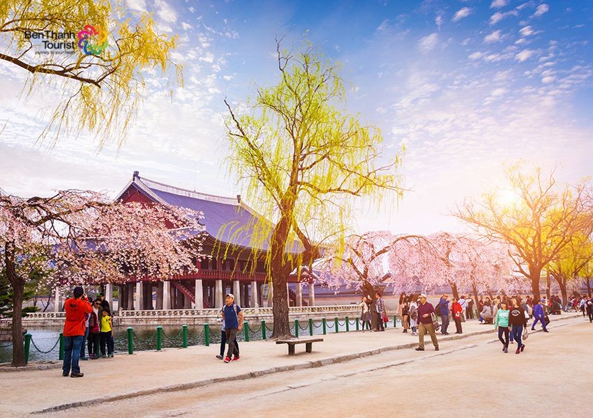 Du lịch Hàn Quốc: Hàn Quốc Tết Âm Lịch 2020