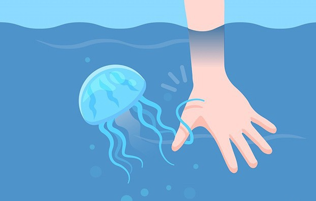 Nằm lòng những cách xử lý khi bị sứa cắn để có một chuyến du lịch biển an toàn
