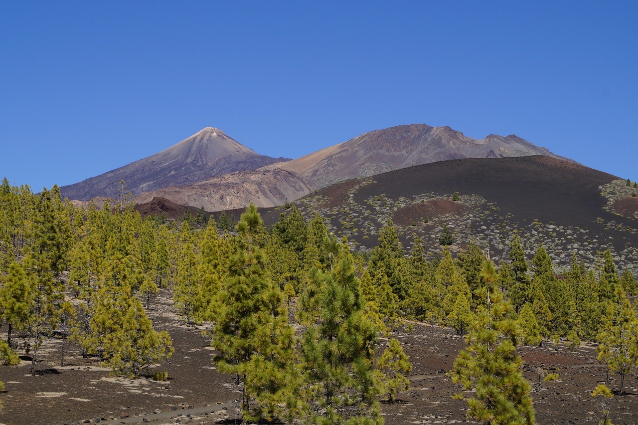 Vườn quốc gia Tenerife Teide