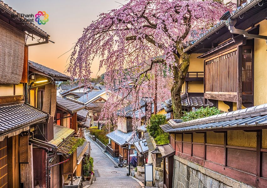 Du Lịch Nhật Bản: Tokyo - Phú Sĩ - Nagoya - Osaka - Ngắm hoa anh đào